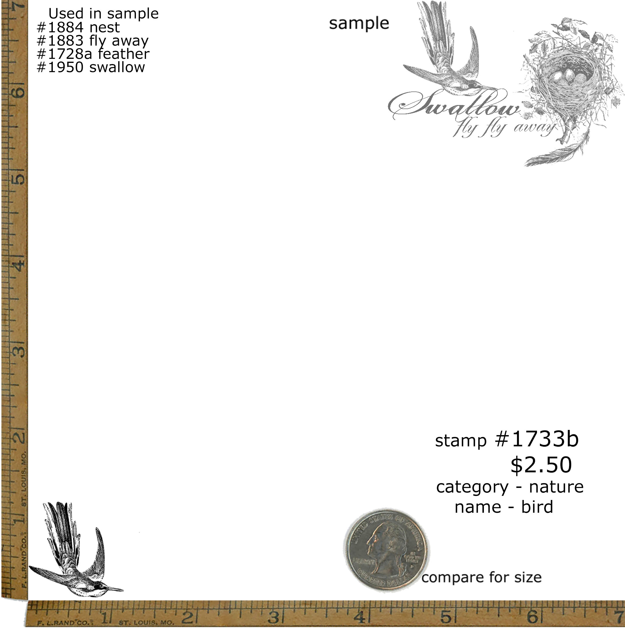 #1733b - Bird - Nature